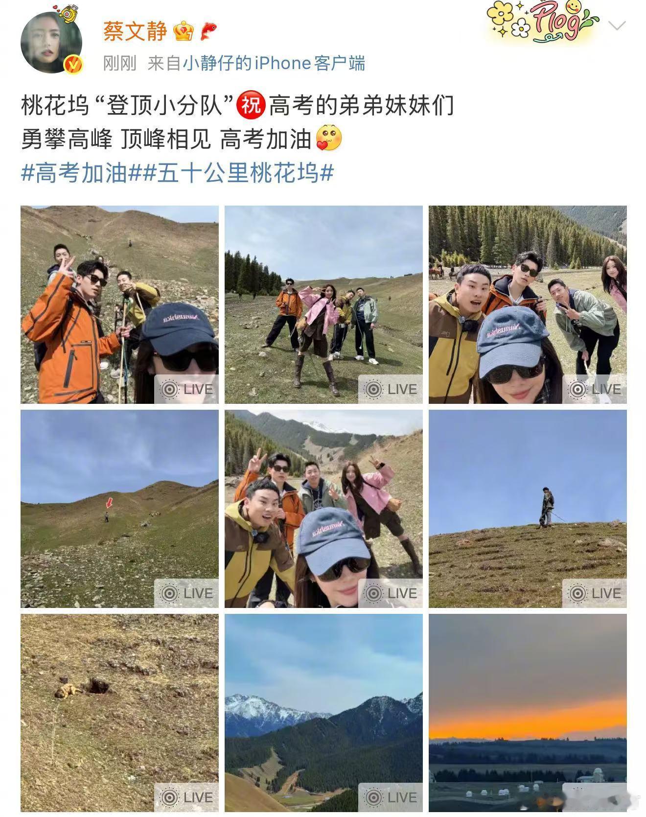 蔡文静桃花坞分队高考祝福来了 蔡文静和桃花坞小分队的高考祝福让每一位考生的心里都