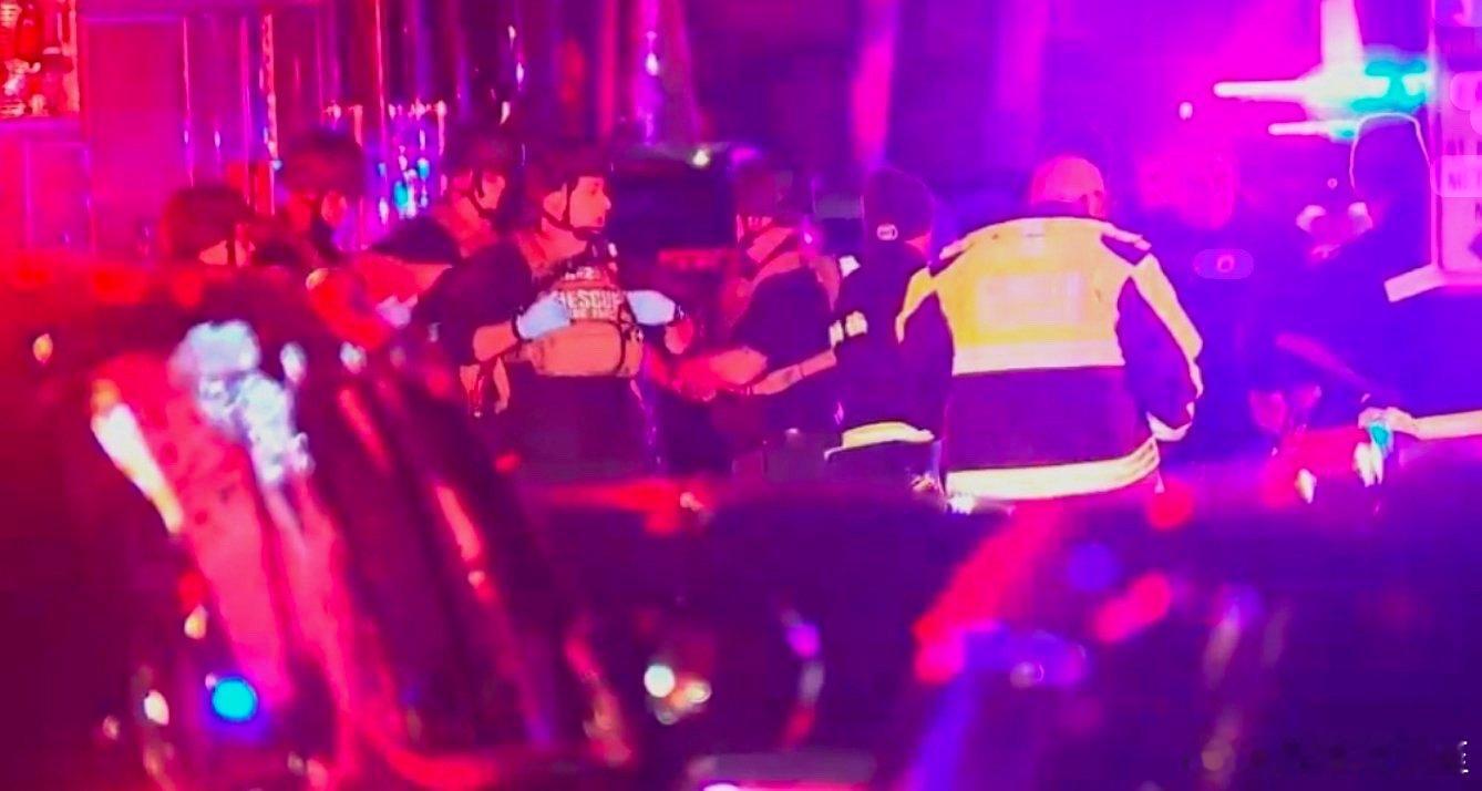 布朗大学发生校园枪击，目前已知两死八伤，枪手在逃，动机不明 