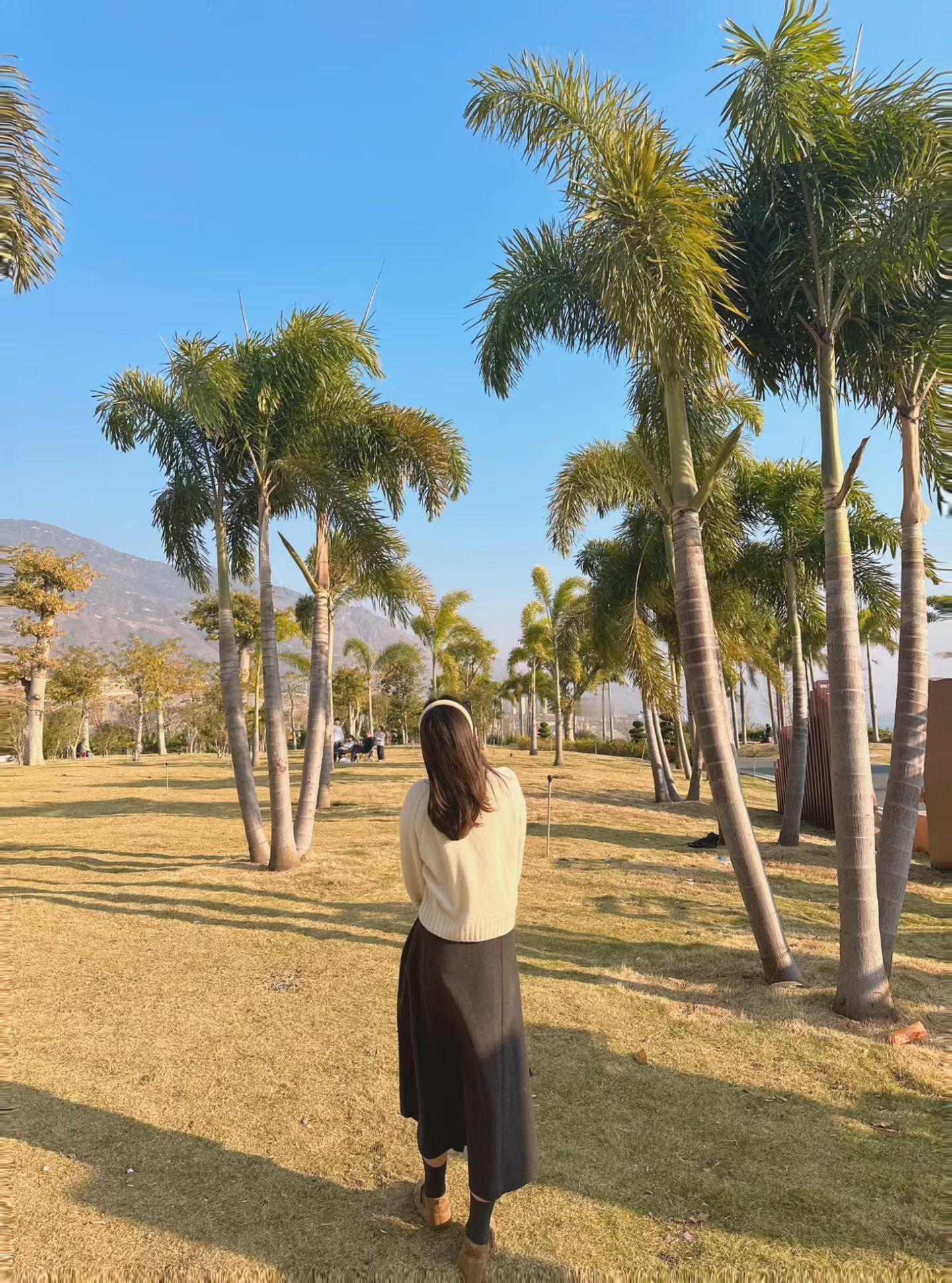 看一场金沙江畔的日落马上晒年味春节摄影大赛好好过大年回乡见闻马上晒年味