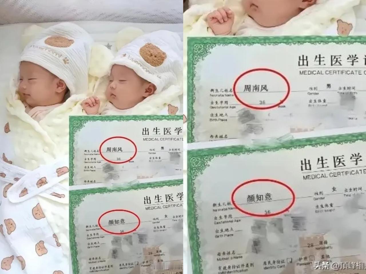 惊！这对龙凤胎的名字直接封神，网友：文化人起名果然杀疯了！
 
刷到这对刚降生的