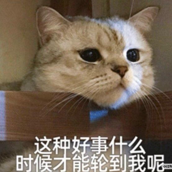 Capper回应新恋情 全世界都在偶遇Capper是吧，羡慕二字不说了….. 