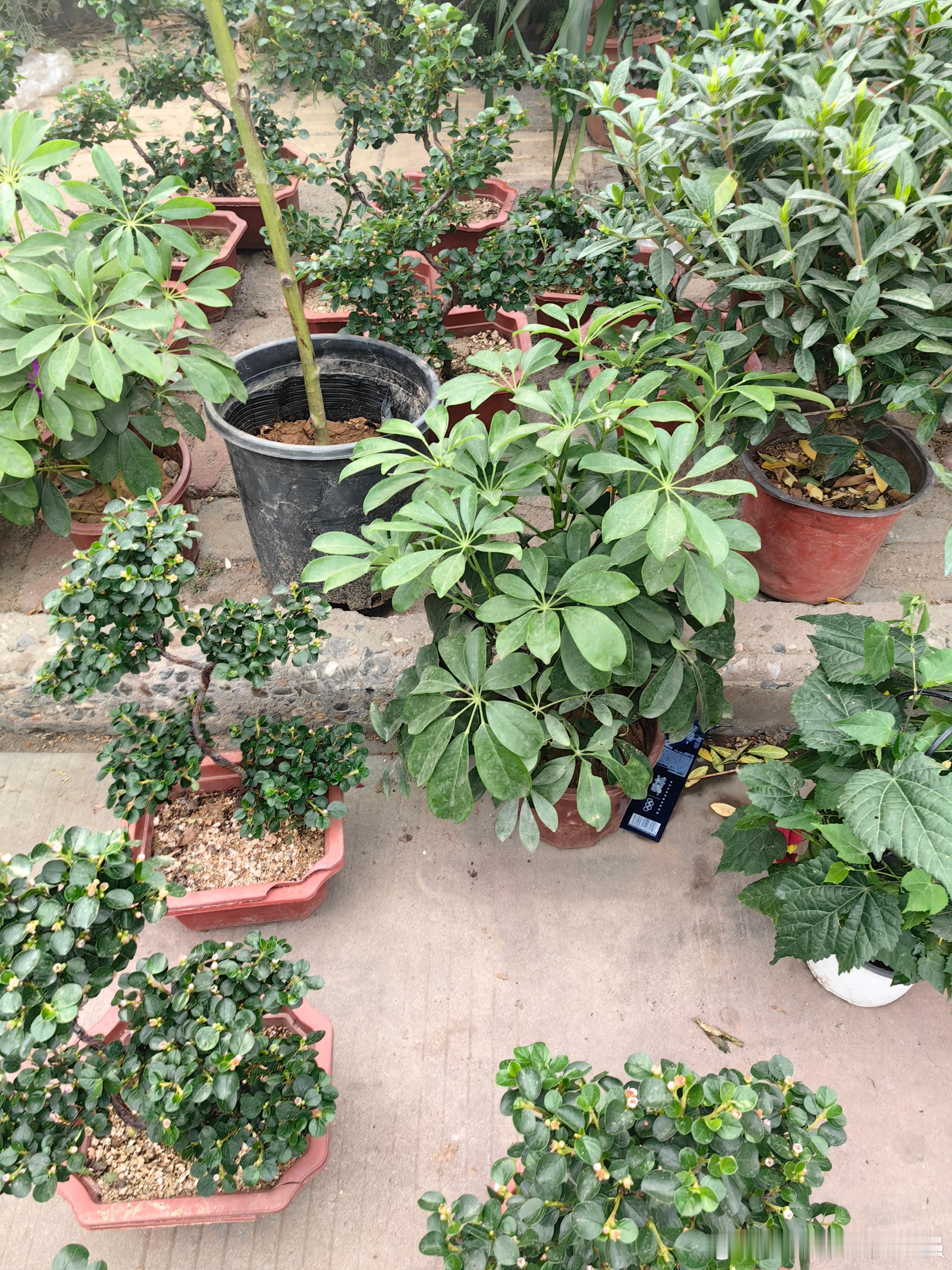 人到中年，最容易产生的错觉是：一顿火锅不会胖，股票买了就会涨，孩子大了会好养。 