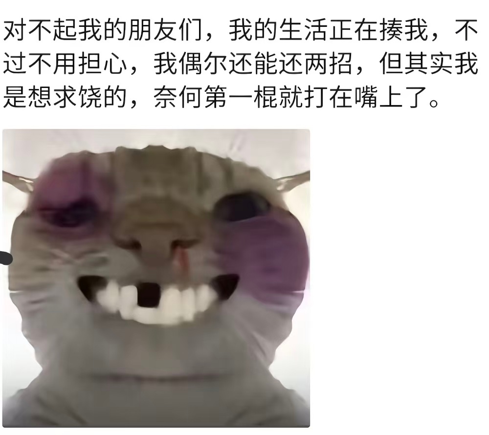对不起我的朋友们，我的生活正在揍我，不过不用担心，我偶尔还能还两招，但其实我是想