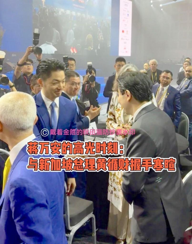 高光时刻！
蒋万安狮城领奖，坐主桌，且与新加坡总理黄循财握手寒暄～

昨天猫仔还