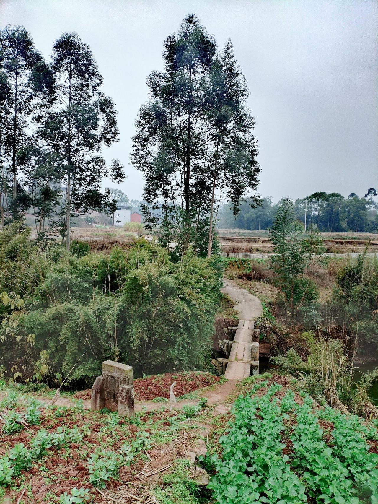 重庆地理周.渝景拾零之“永川转龙桥”。转龙桥位于重庆市永川区来苏镇水磨滩村，毗邻