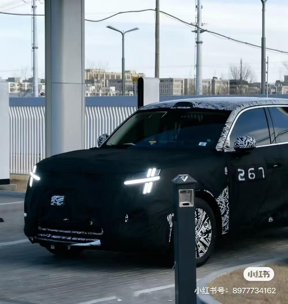 小米YU7雷总官宣是五月底发布咳咳，网传小米YU9是三季度上市，(推测大概9月中