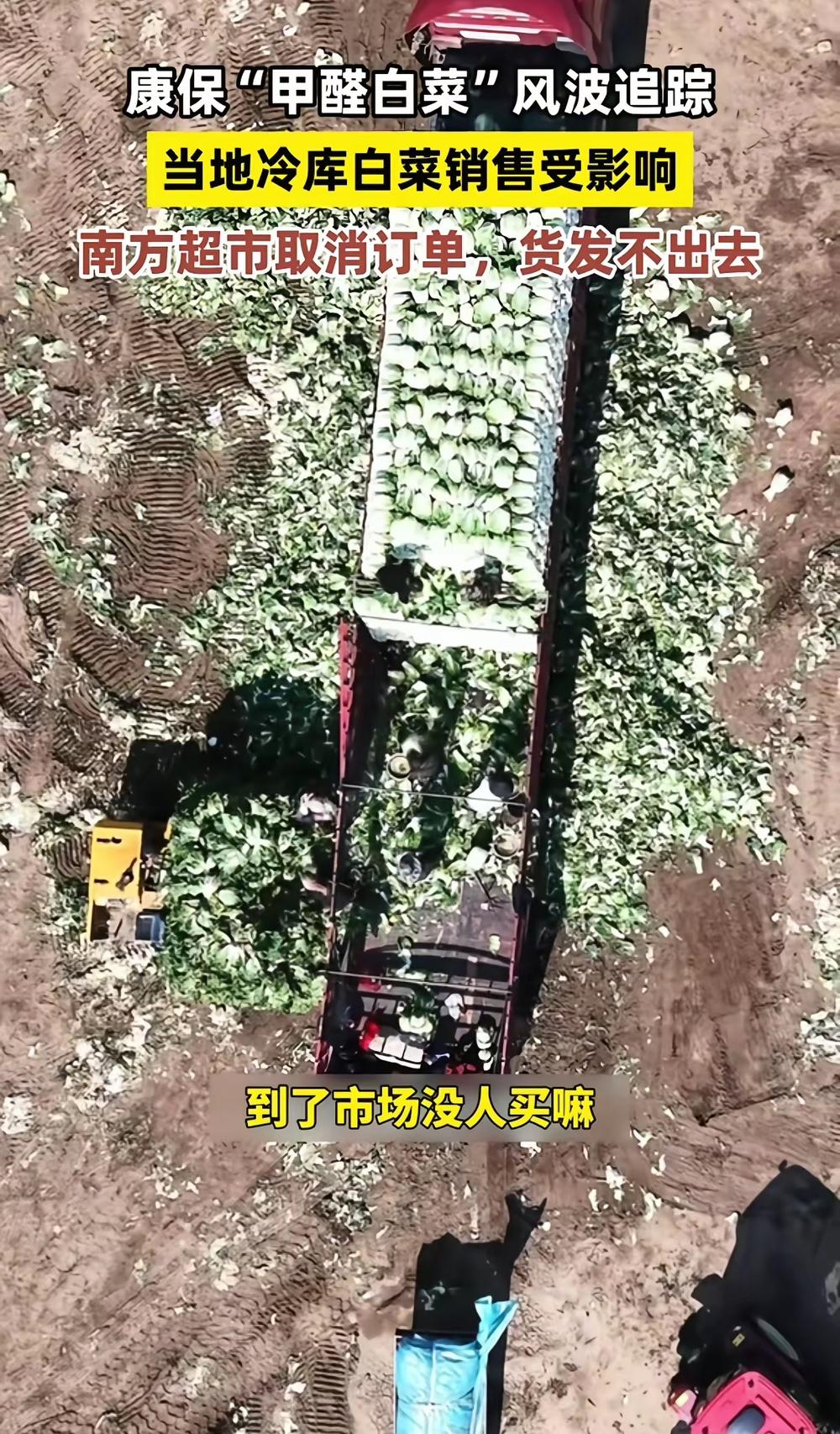食品安全重于泰山，然而不少人却为了利益不择手段。给白菜蘸甲醛来保鲜，这简直就是谋