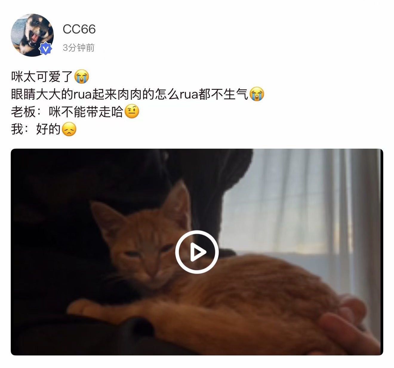 卧槽哥哥 
