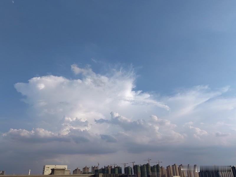 我拍到的落日瞬间夕阳在天边缓缓下沉，将天空染成一片温暖的橙红色。云朵被镶上金边，