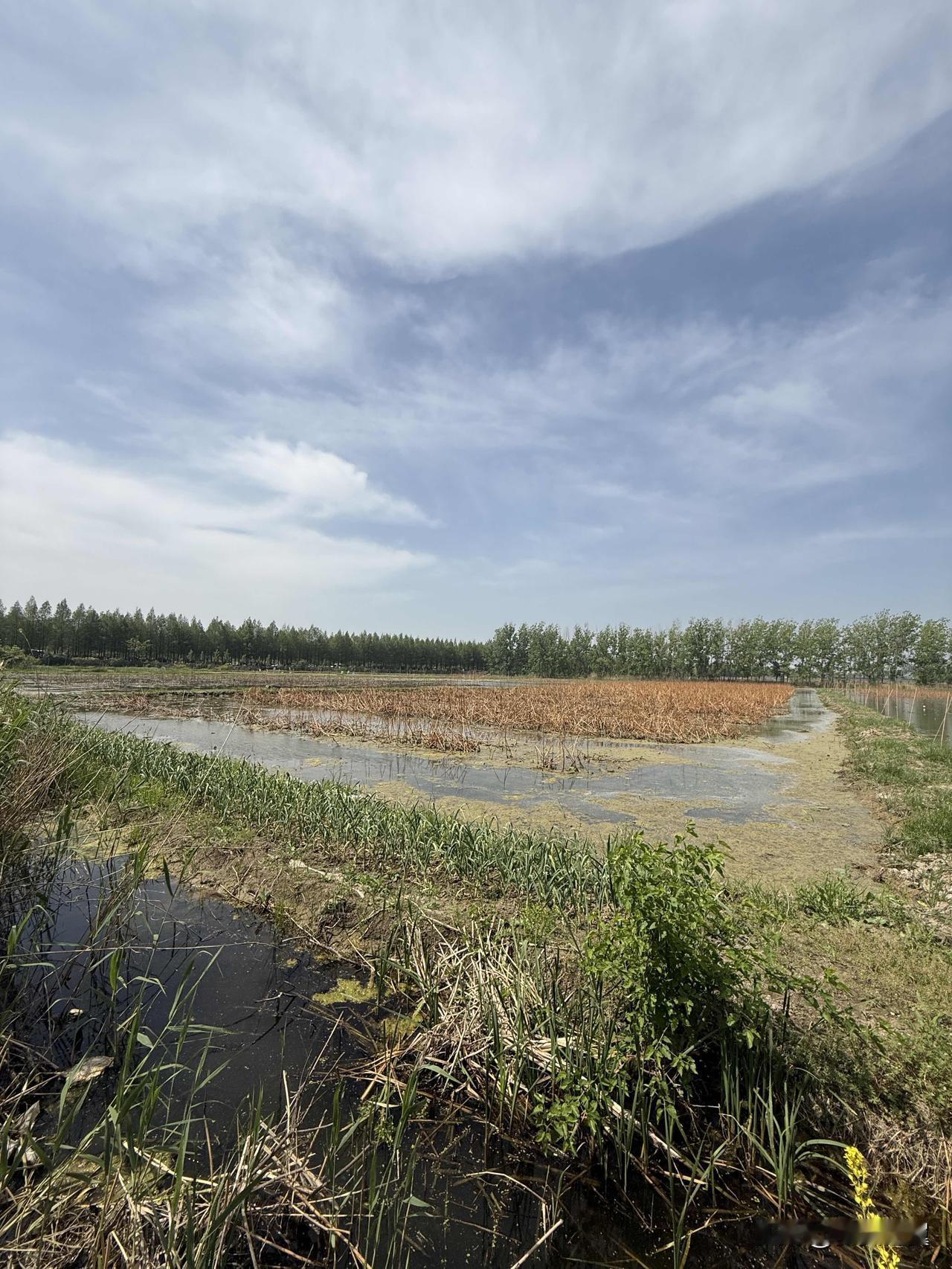 【小对联】
上：北上；
下：……？