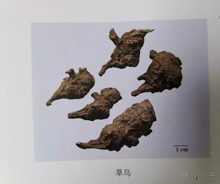 “天理何在？”福建厦门，一男子在自家院里晒草药，一村民路过时，偷拿了两把回家泡酒