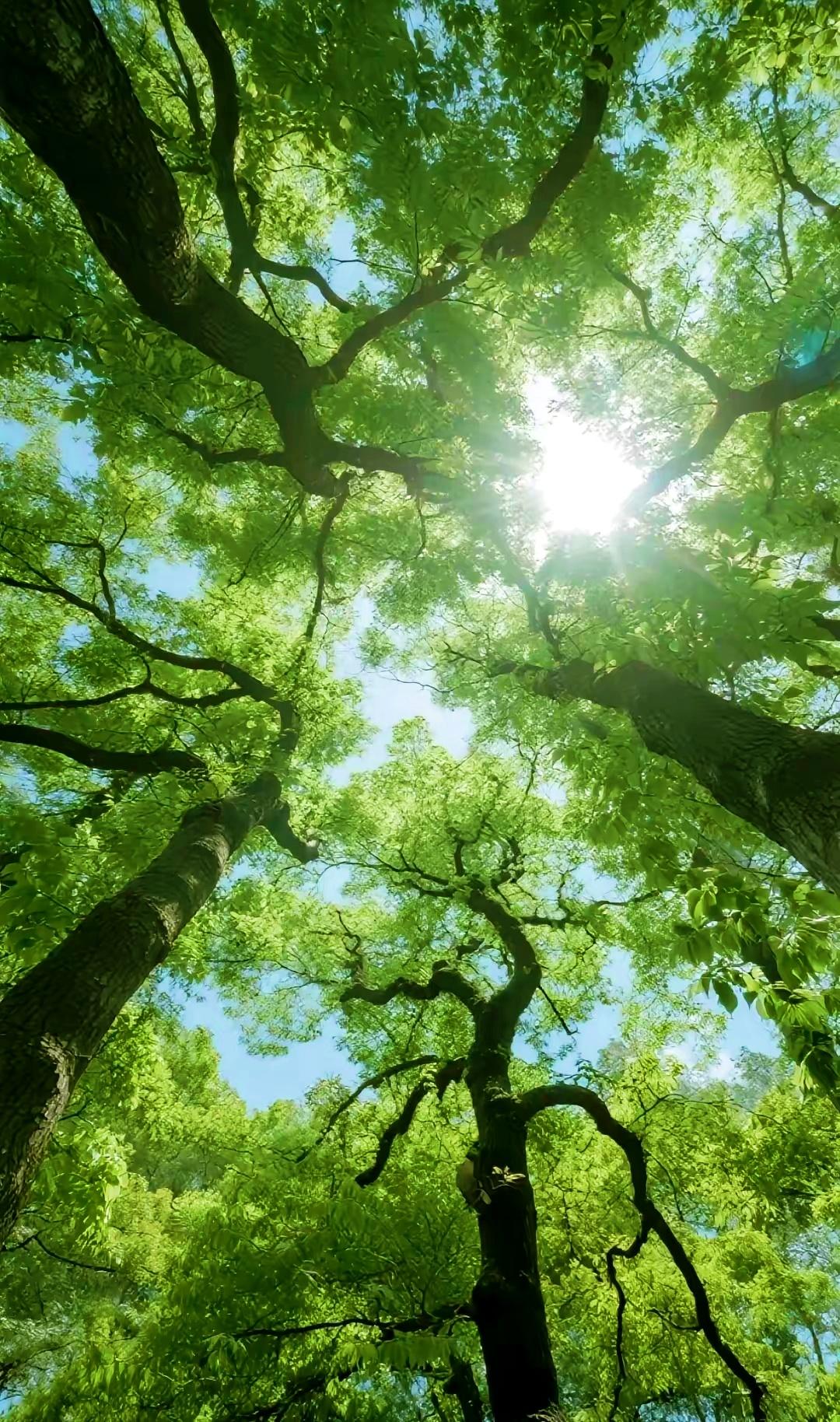 为人处世：做到“十少”，远离烦恼

古人云：“闭门不管庭前月，分付梅花自主张。”