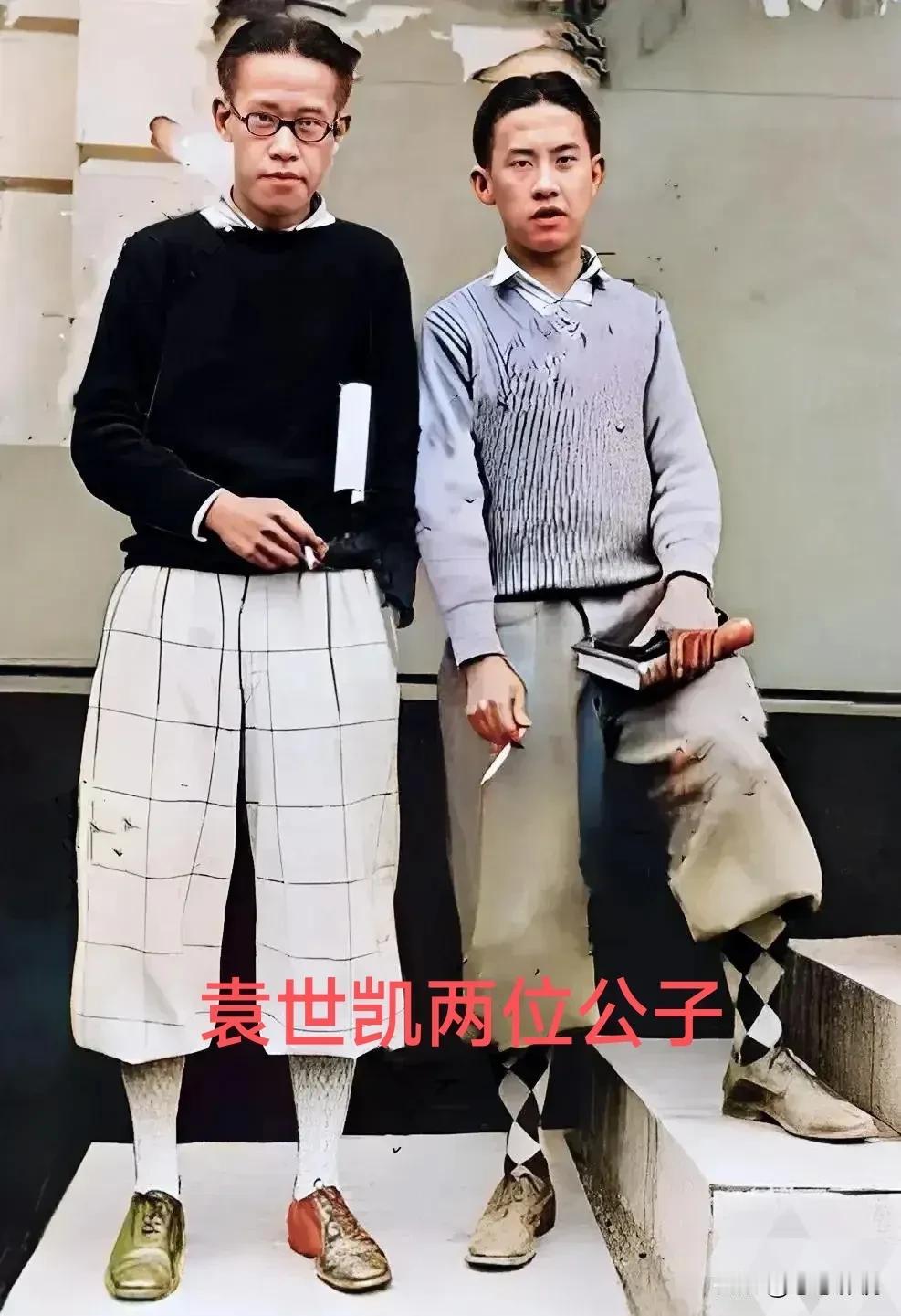 这是袁世凯的两个儿子年轻时的合影老照片，这可不是演员所扮演的，这个是留下来的珍贵