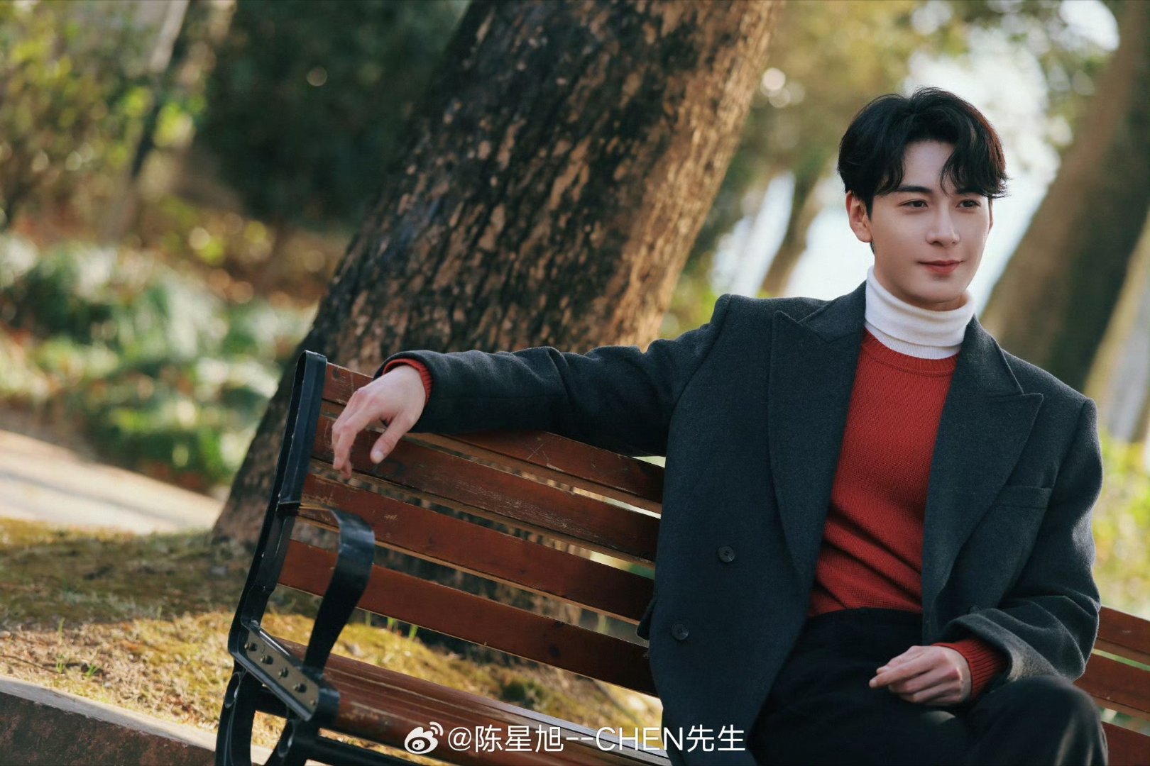 陈星旭说向日葵的花语是我去转转《突然的喜欢》剧里高总玫瑰店里深情告白林欢儿，问向