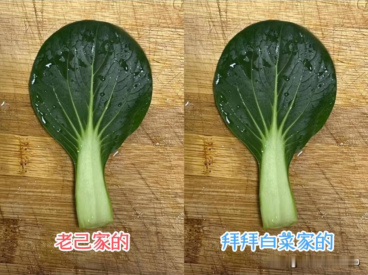 差别不算大，流量太悬殊。
老己家的亲戚都分不出来，
欢迎大家找一找茬。