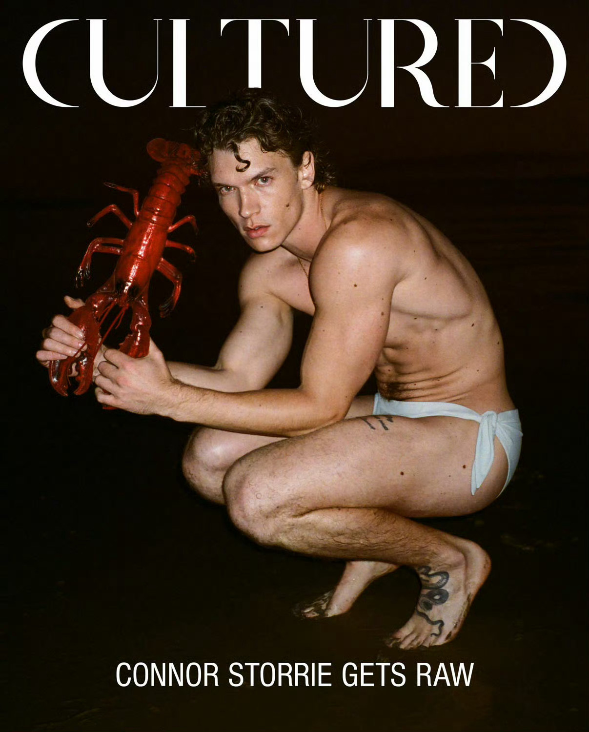 Connor Storrie 热剧Heated Rivalry巅峰对决的男主，一