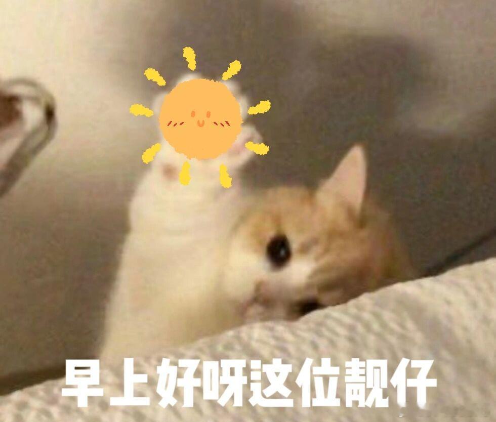 早安、发财、最亮的靓仔。 