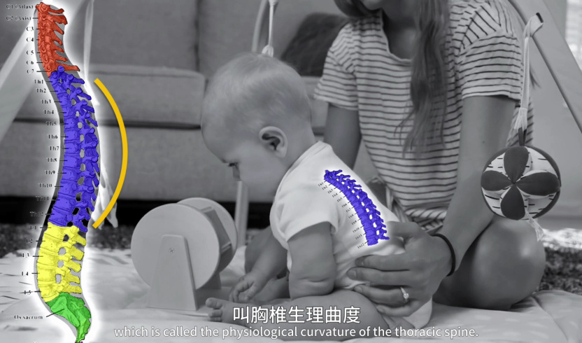 腰痛 你的腰突腰疼、肩颈疼痛，很可能和小时候，运动发育过程中的错误习惯有关，比如