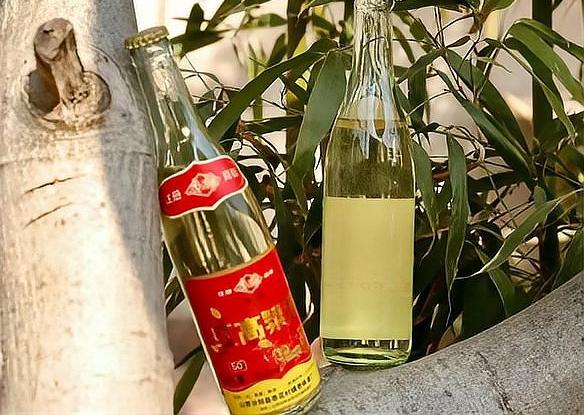 深山躲雨遇真情 贵州农户暖心招待尽显人间纯粹善意
 
近日，六位退休教师前往贵州