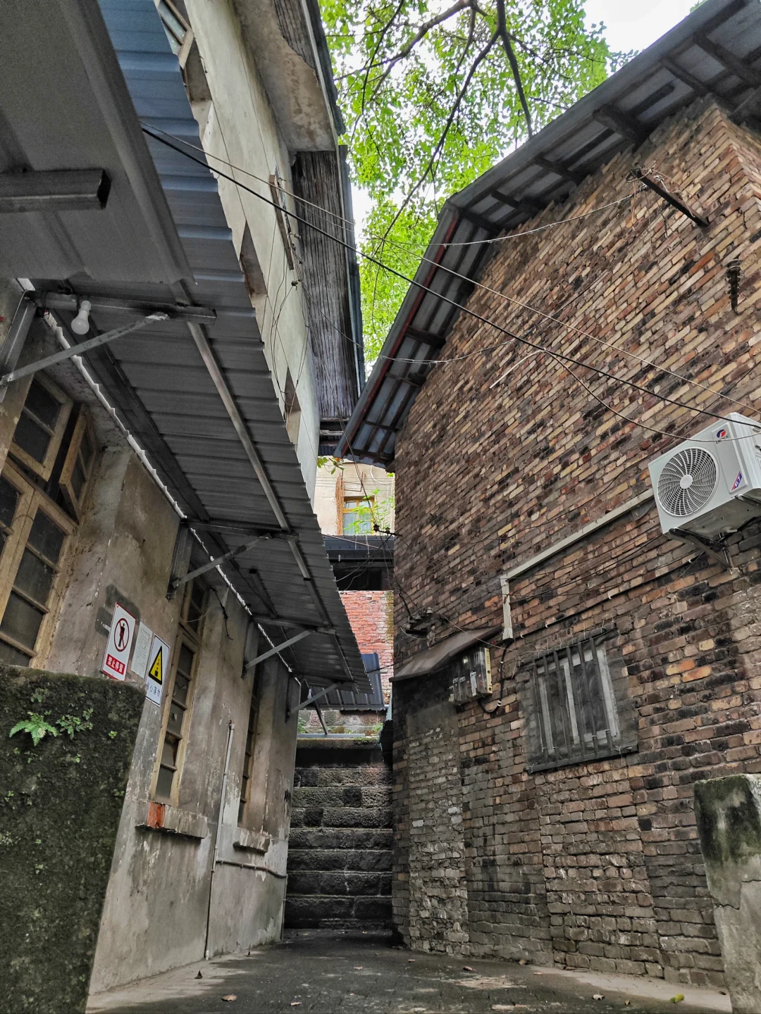 江北野水沟深处（citywalk309）