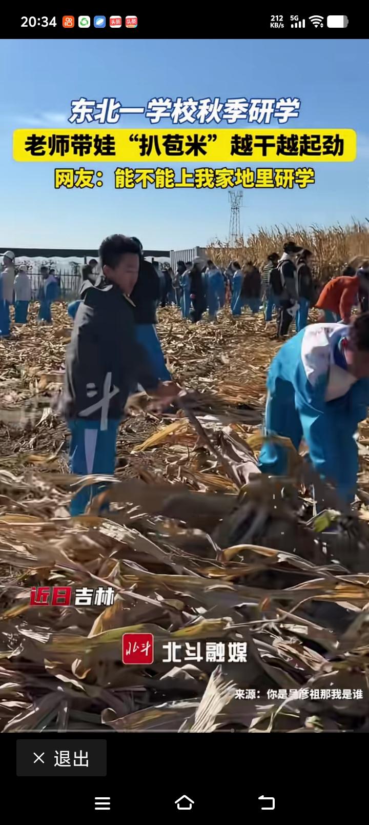 秋收季，老师带娃扒玉米，网友说，老师，能不能带娃到我家地里研学啊？

吉林长春第
