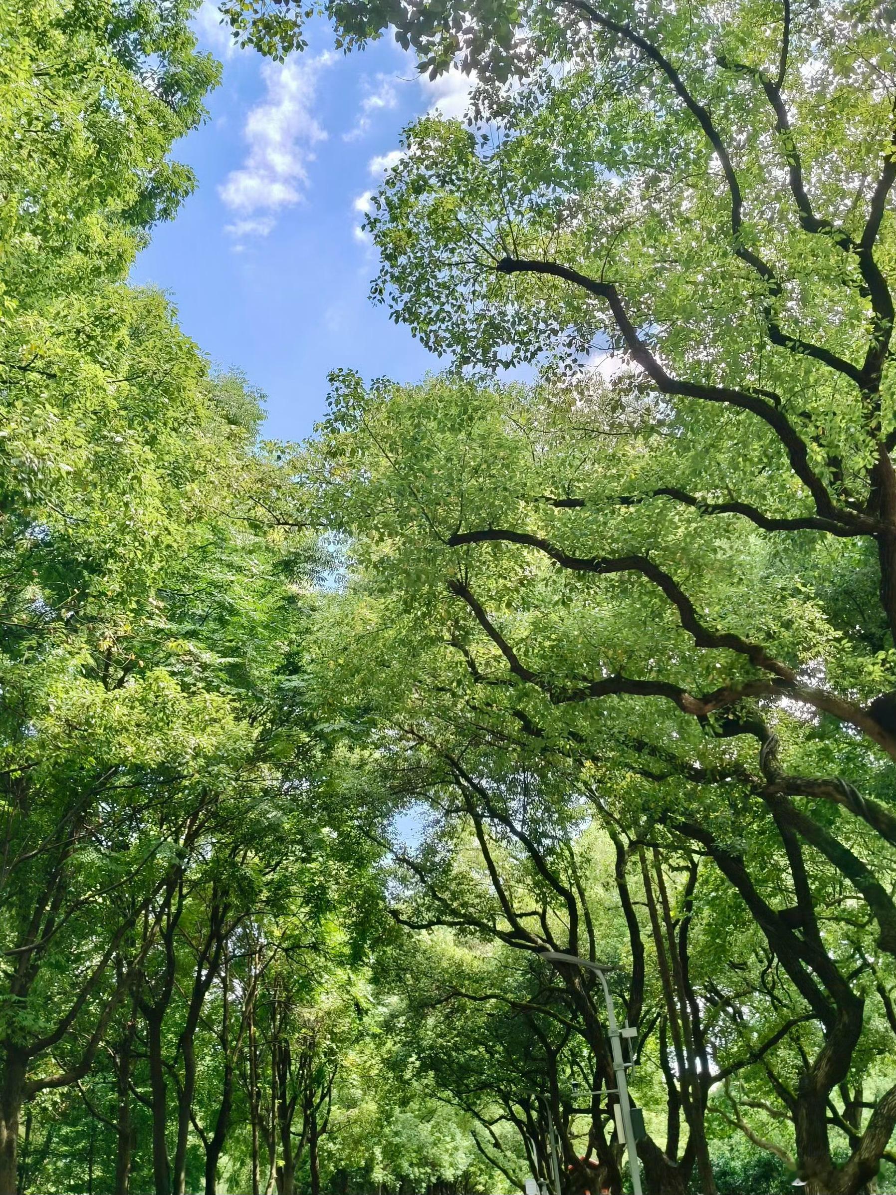 一个被出轨的来访跟我聊结婚快十年，两个孩子，她老公事业发展不错，在一家大公司做到