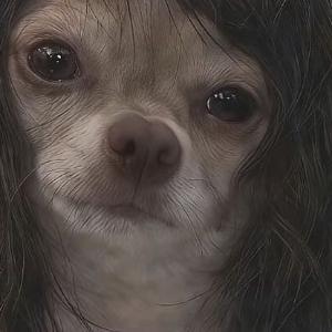 碎碎念 我是犯了什么天条吗喜欢的人都不爱营业好心塞 