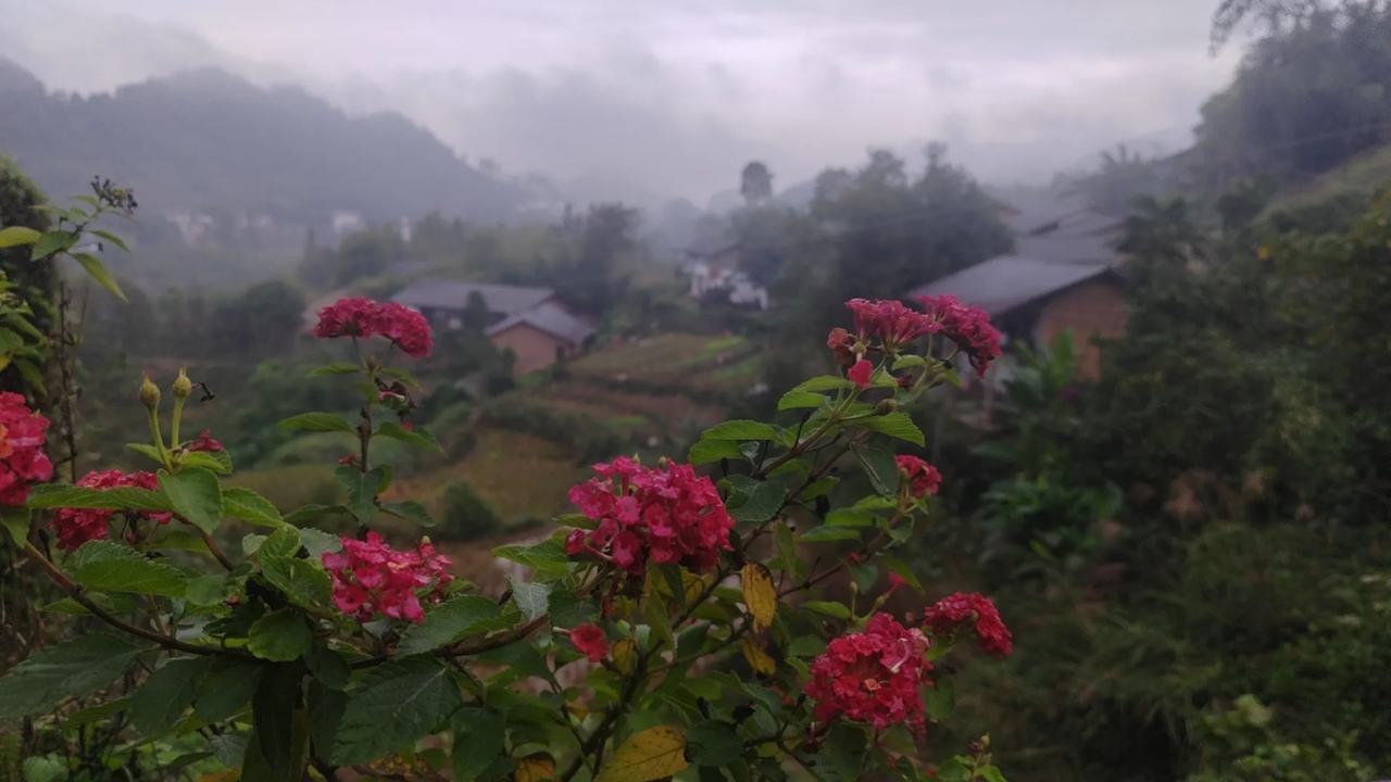 王大善人是个好人吗
一只189元的鸡差价只有S元，算上自己的费用，一天卖100只