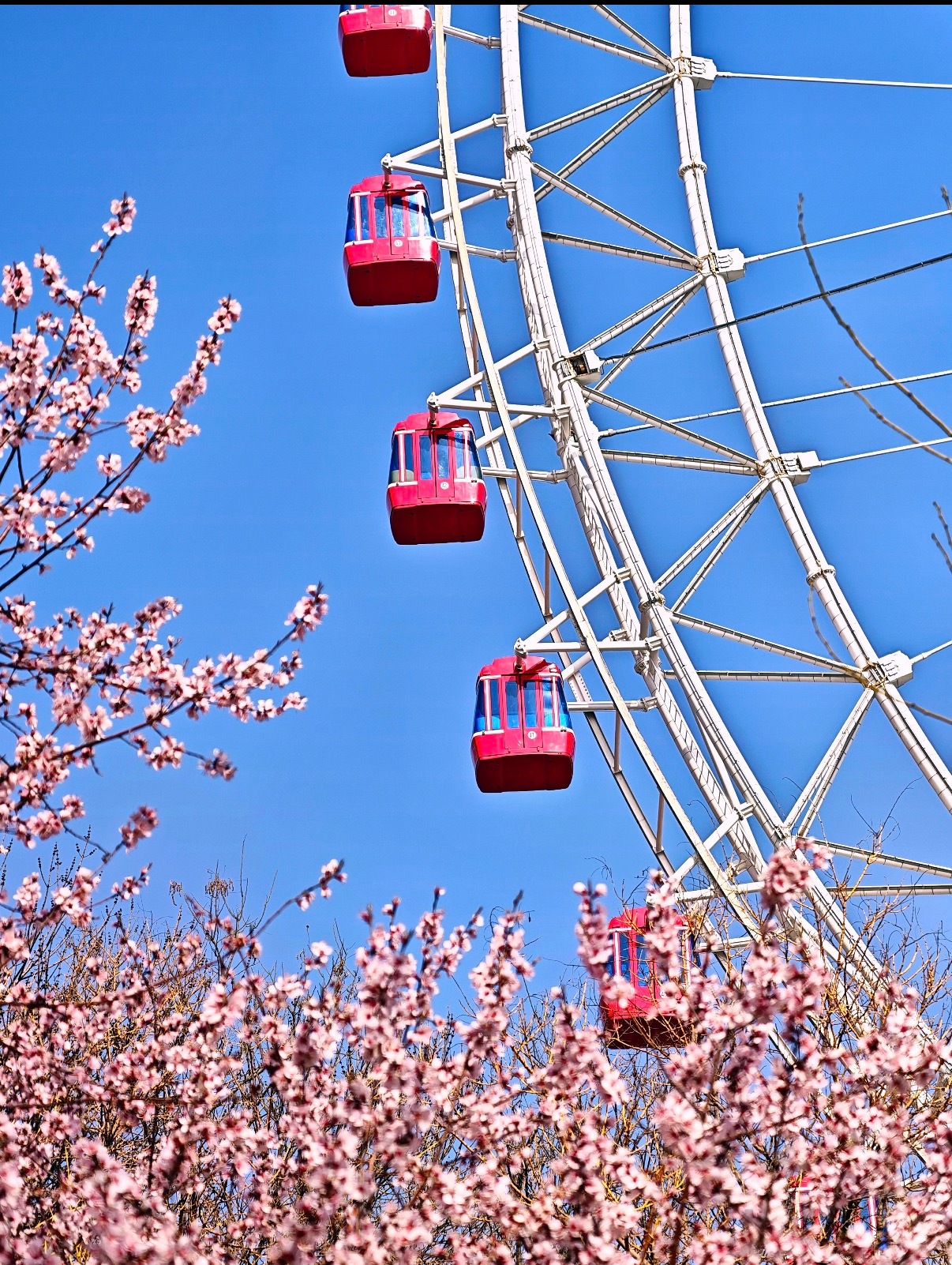 等五一假期日子一天天翻过，心里早已悄悄开始期待五一假期。熬过这段忙碌的日常，就盼