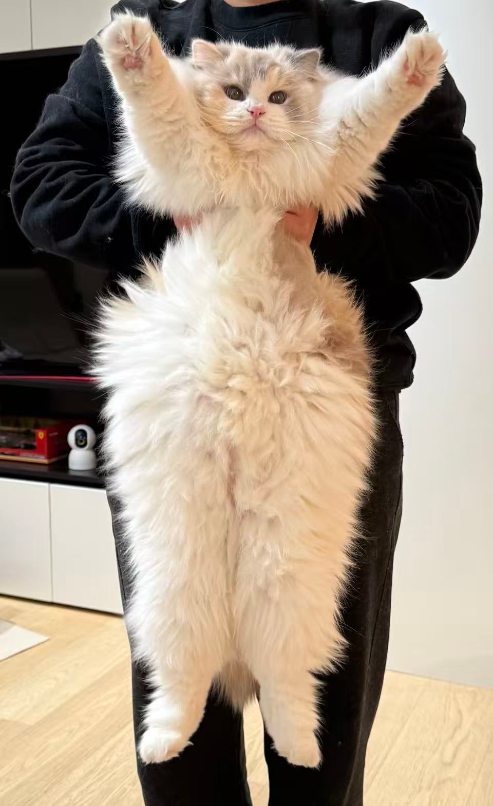 小胡娘一岁啦（家长） 