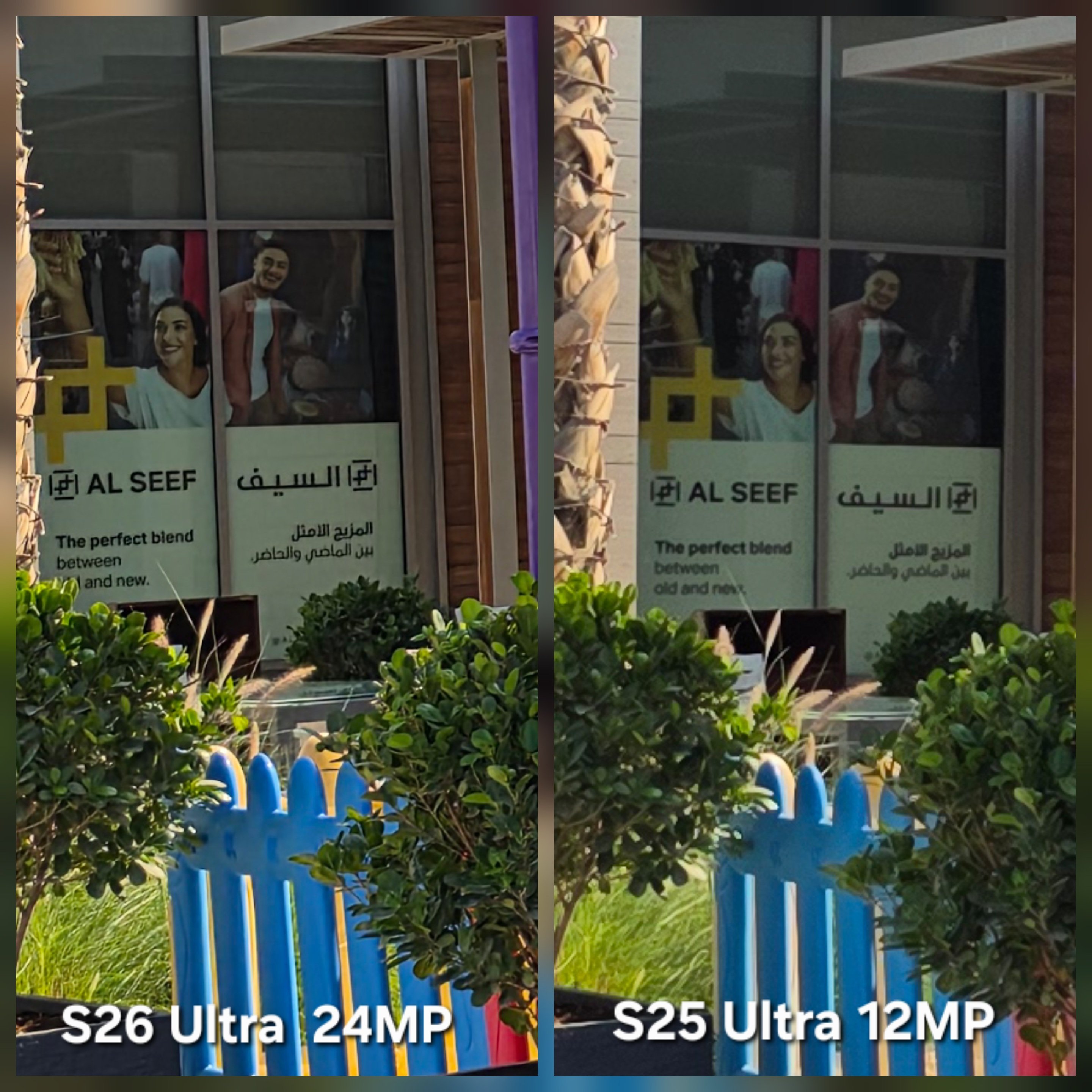 24MP 还是有点作用的😜 