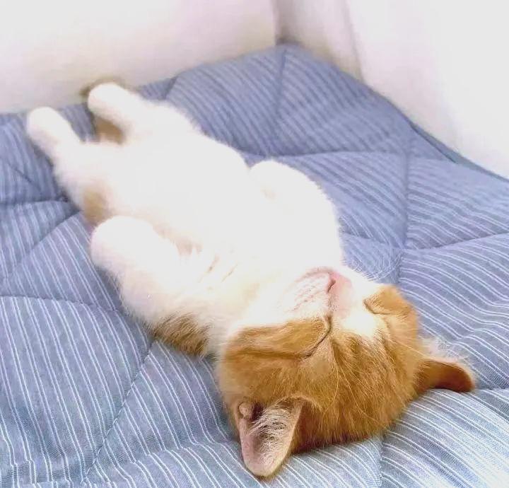 今年有个词挺火，叫“全职儿女”。说好听点是在家陪父母，说难听点就是啃老。

可我