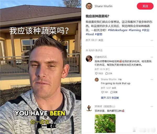 美国网友已经准备在屋前屋后种菜 美国网友主打一个听劝，很多美国网友尝试在自家搭建