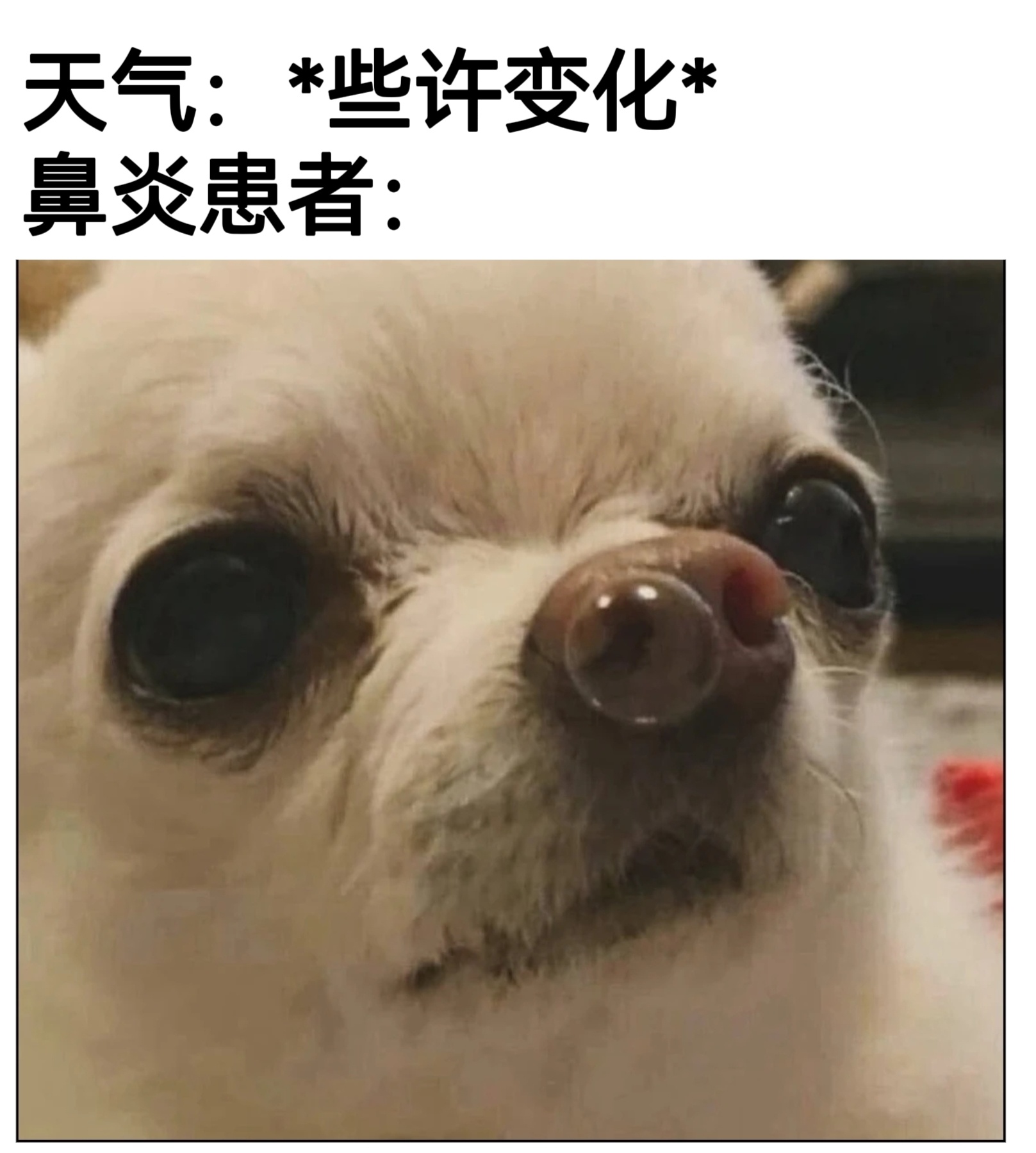 要来了 