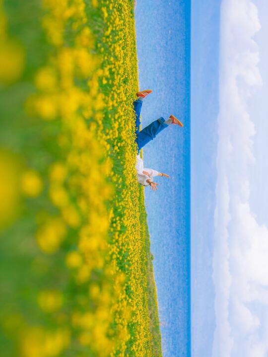 5.10赛里木湖湖边小黄花逐渐开放🌼