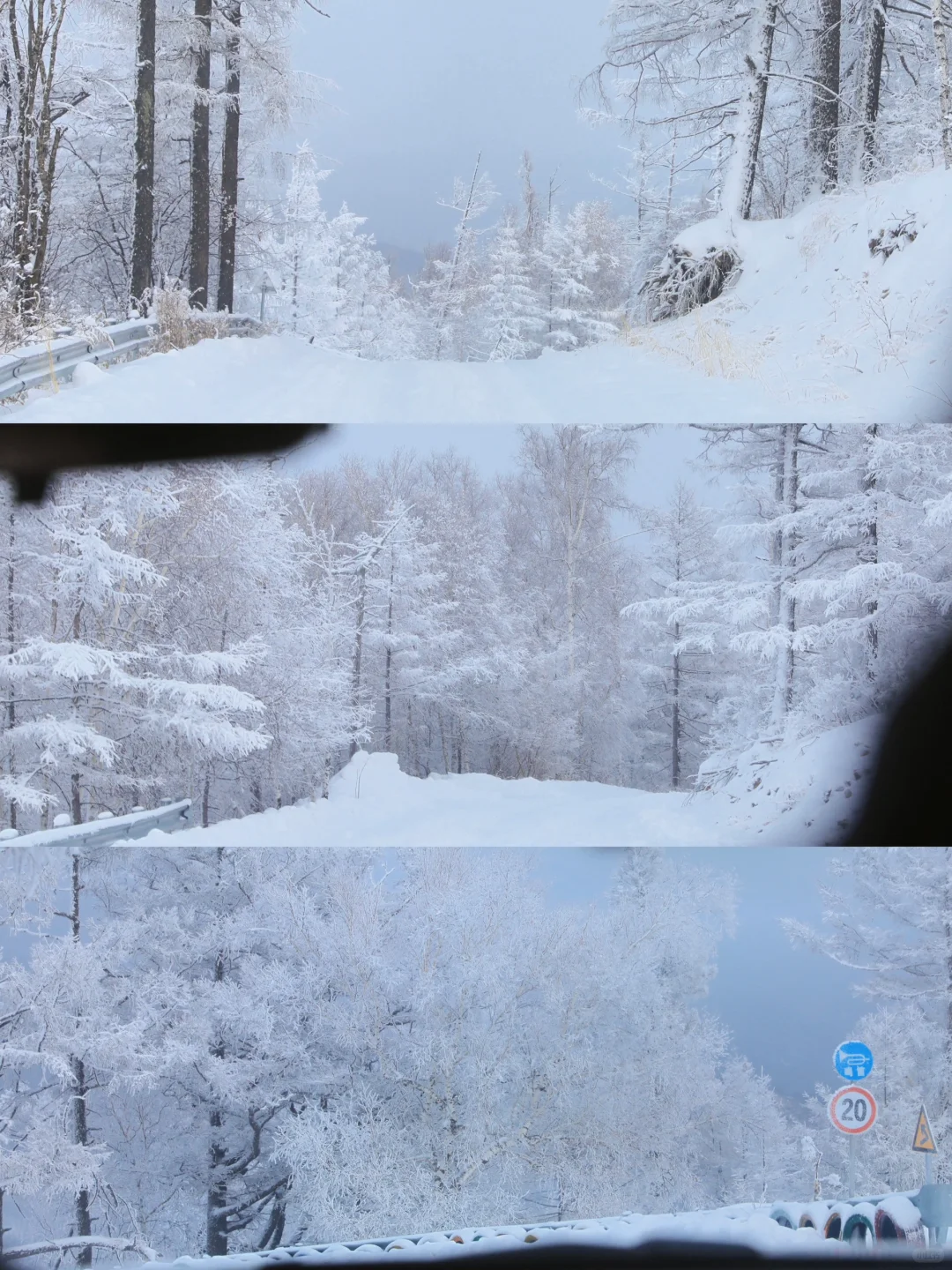 冬有冬的来意，别错过雪国梦幻雾凇