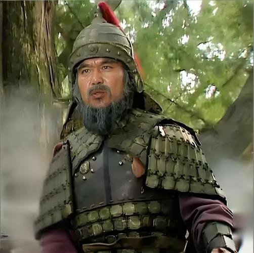 三国杀招：邓艾阴平奇袭，蜀汉瞬间崩塌！
      三国末年，局势危机四伏，蜀汉