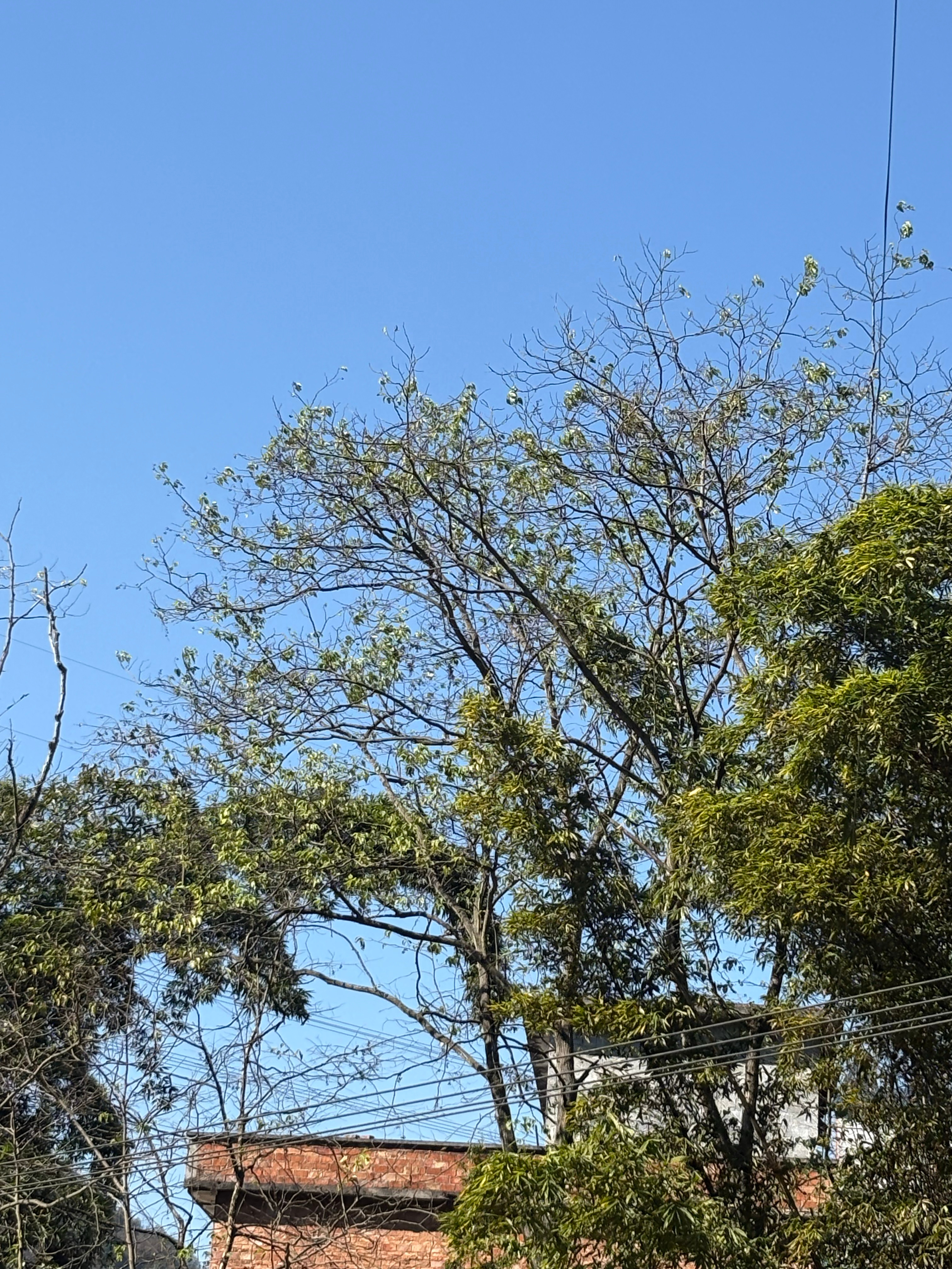 天天开心~ 