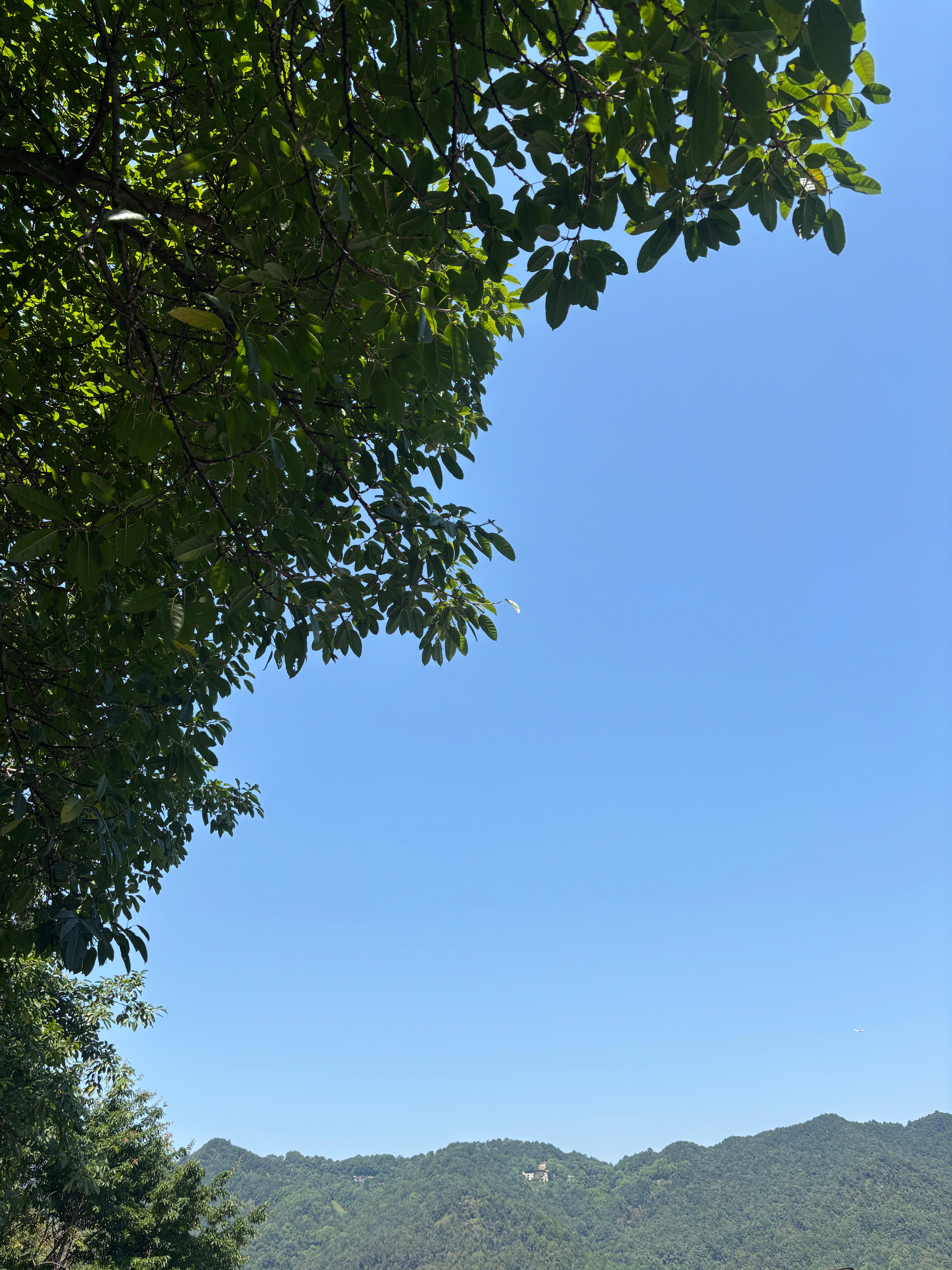今天体验的正好又是地平线方案车型猜猜是哪款车辅助驾驶地平线