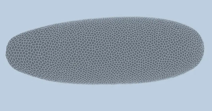 胚胎发育最初1小时的秘密，被MIT新模型精准破解了