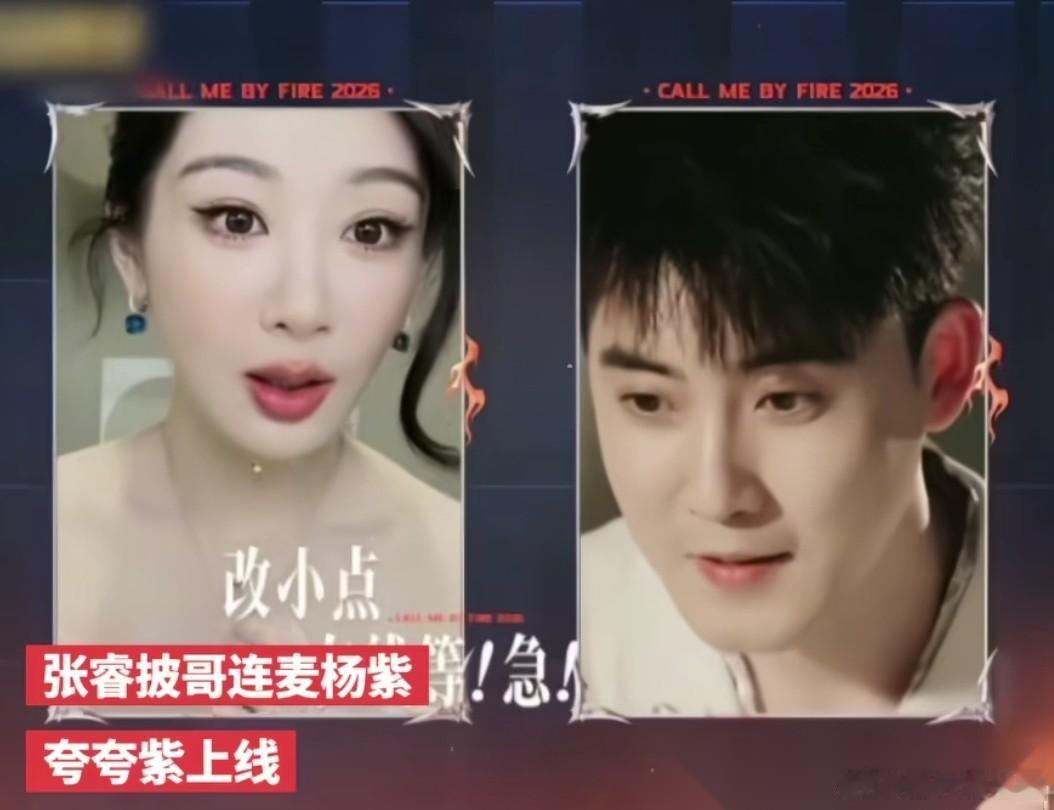 为什么杨紫不参加浪姐， 不是因为杨紫最近不火了，也不是因为她最近忙着拍戏而没有档