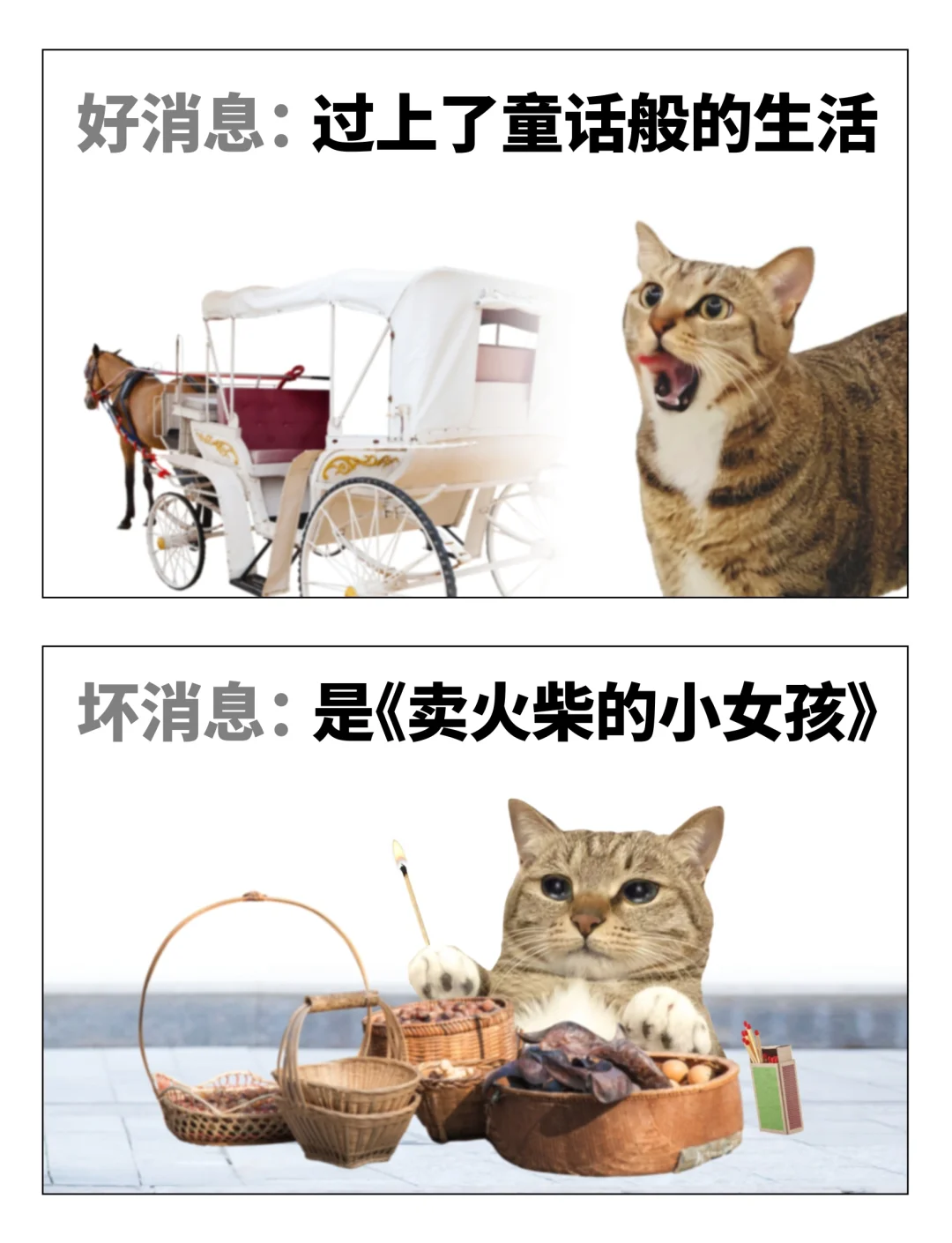 本人生活状态表情包