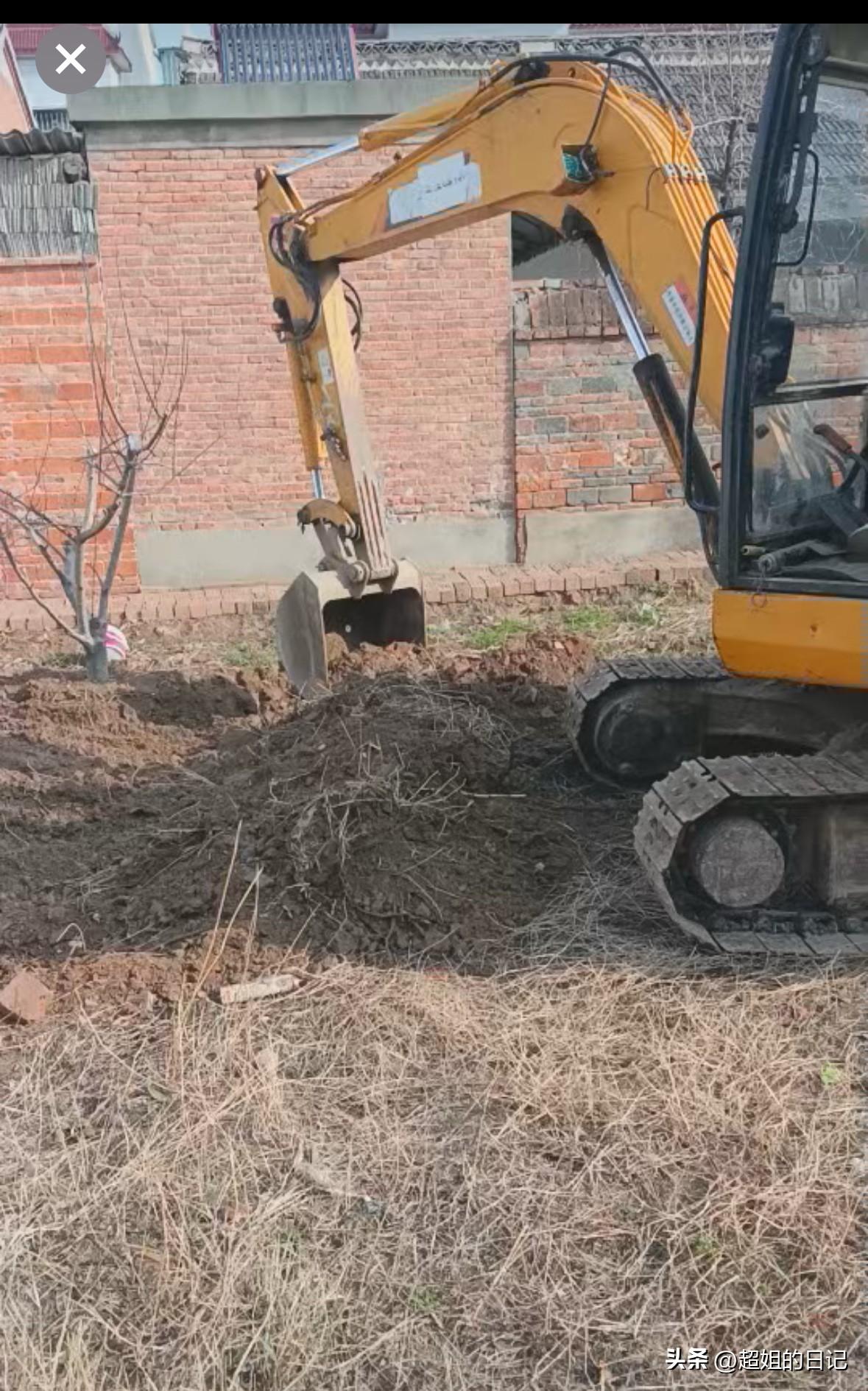 收拾小院儿的菜地了，
雇的挖机，又买了几车土，把小院儿的菜地收拾出来，不然他买的