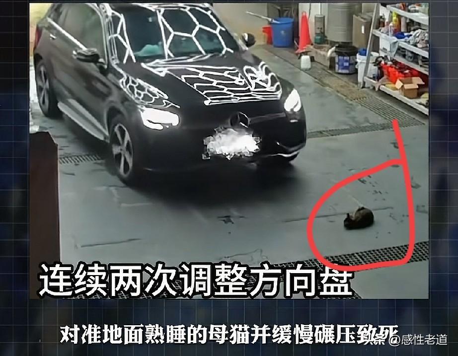 粘上带血轮胎的汽车，你开着安心吗？广东一名奔驰SUV驾驶员，洗完车后刻意调整方向