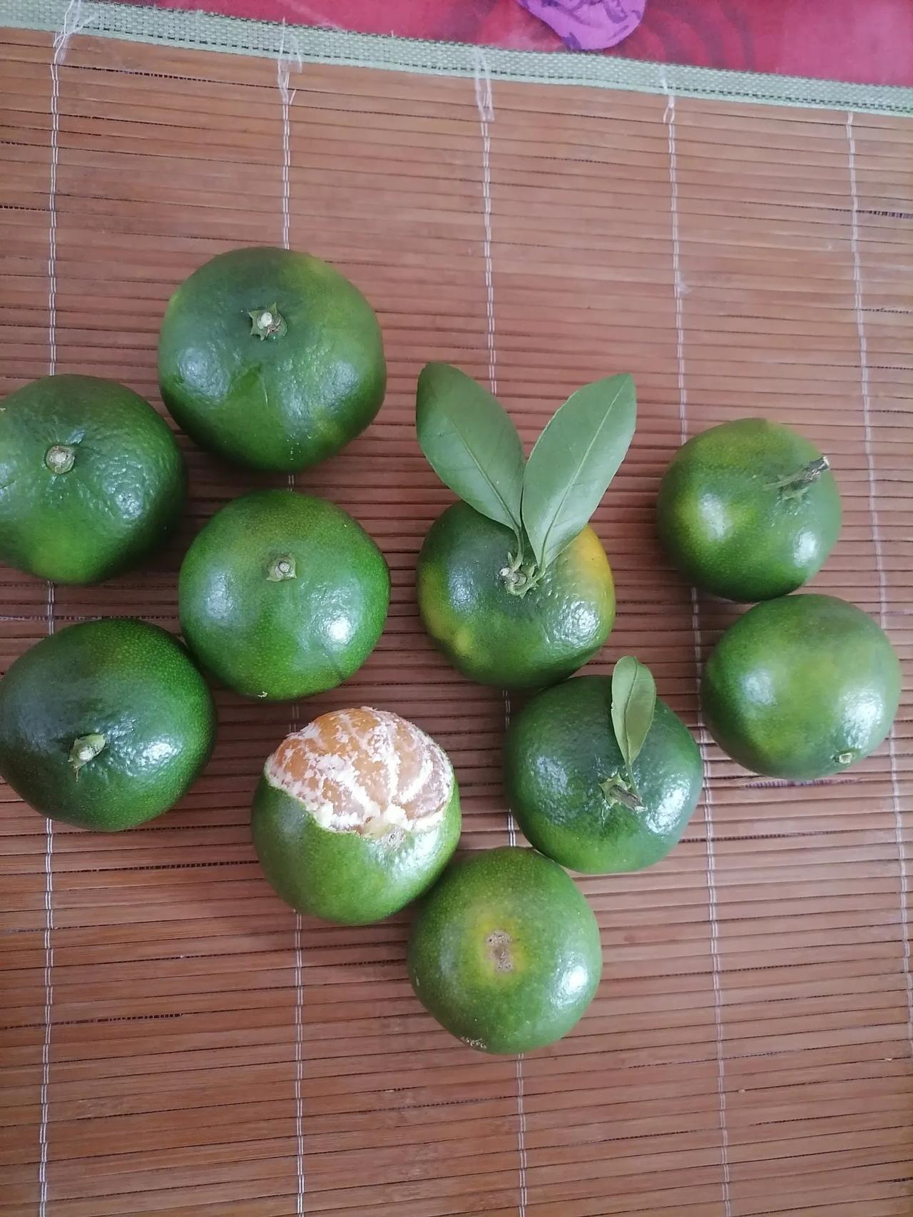 我很喜欢吃青皮橘子，这种橘子虽然说有一点点酸但是可以接受。大概是八分甜两分酸。皮