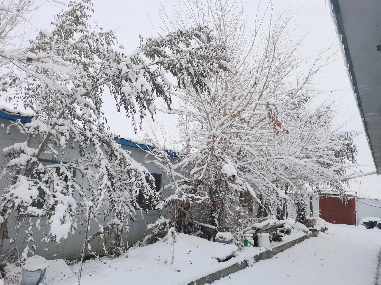 冬日生活打卡季