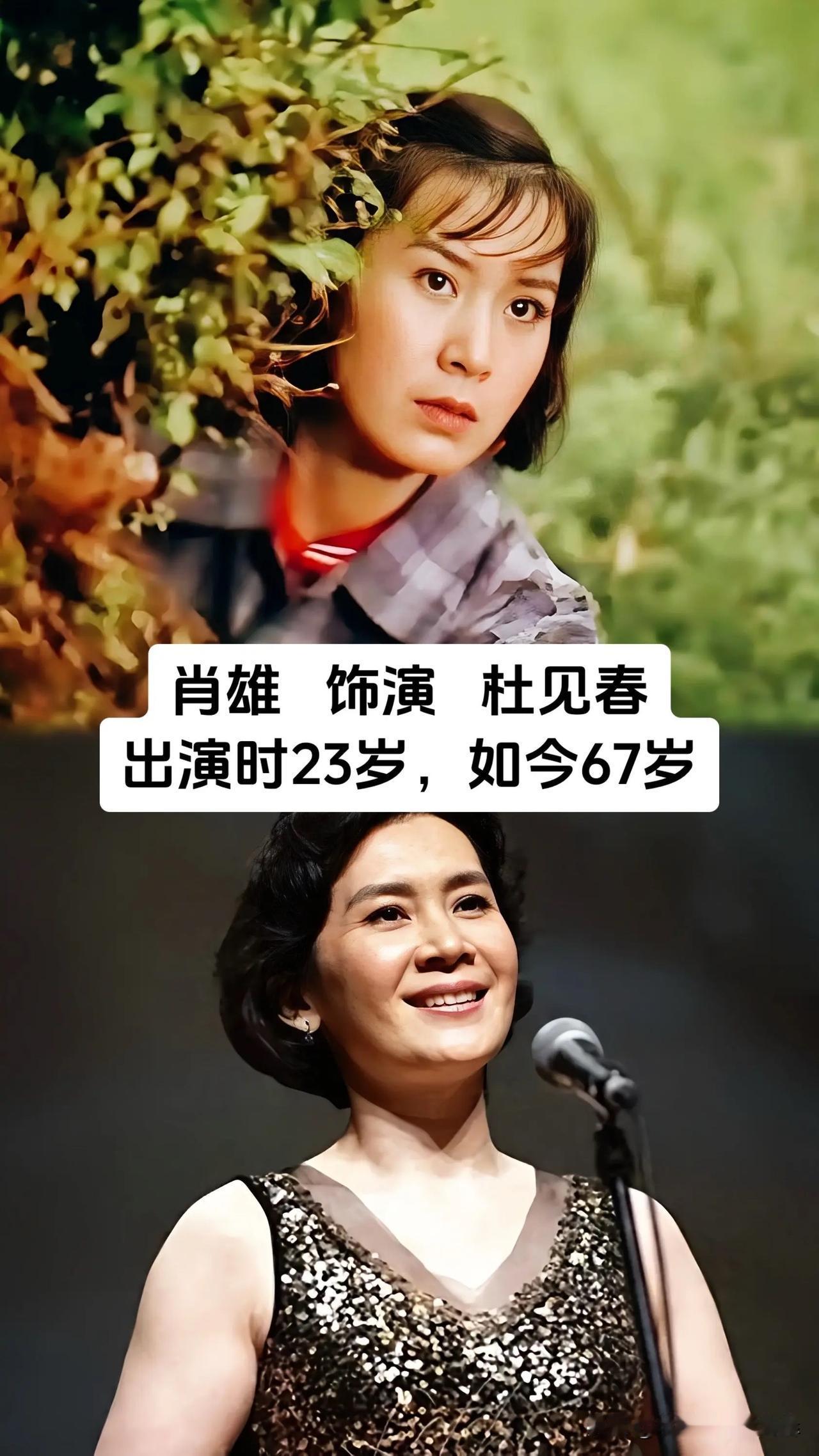 八零年代看《蹉跎岁月》的那批观众，如今大多已经步入中老年，这部描写知青上山下乡的