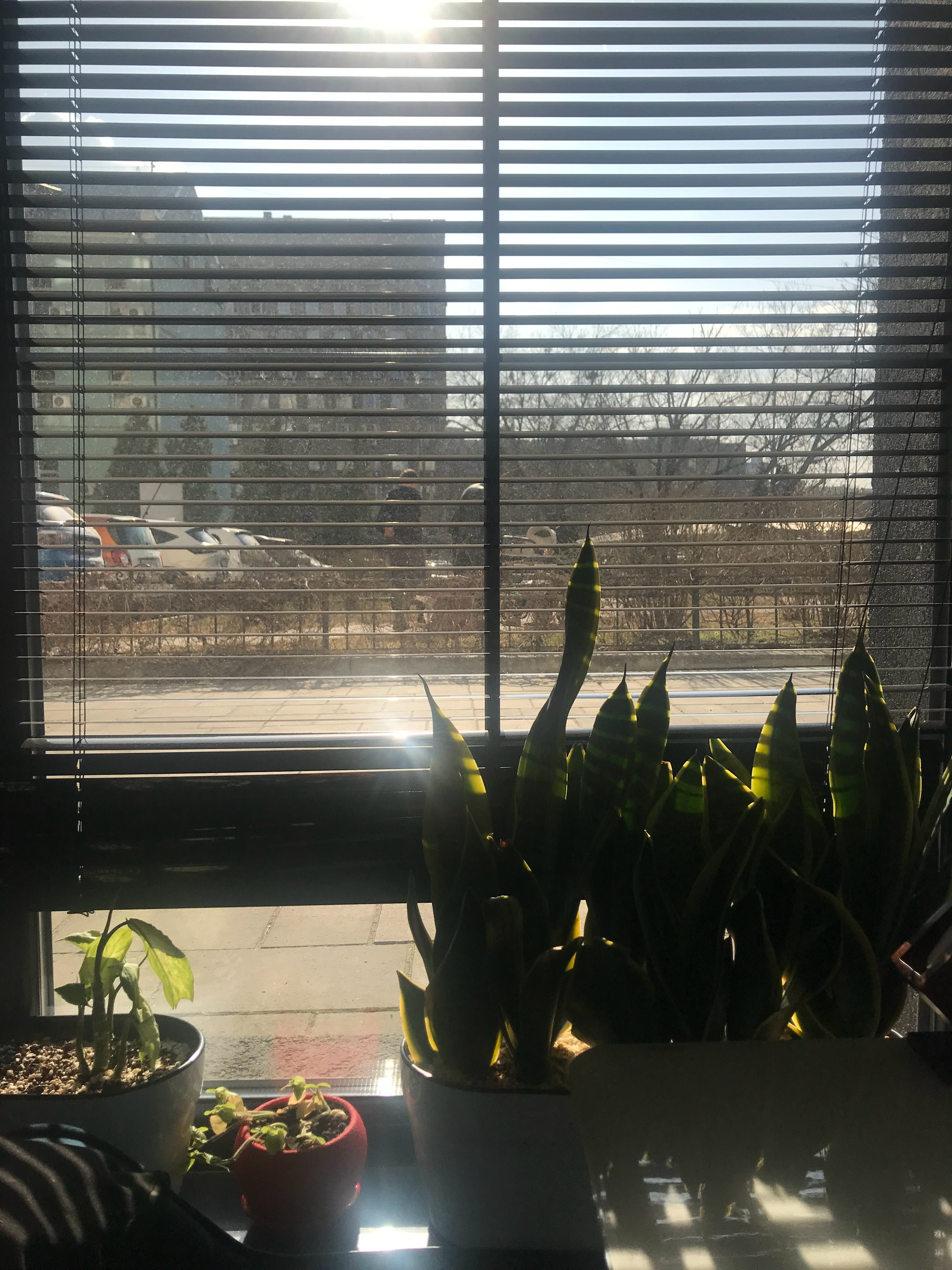 基辅春光 乌克兰·基辅