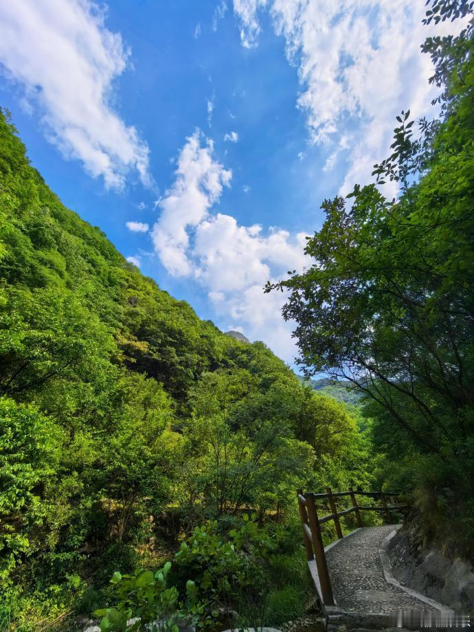 河南栾川的夏天永远不会让人失望盛夏来河南栾川感受自然凉意试过好多避暑地，还是栾川