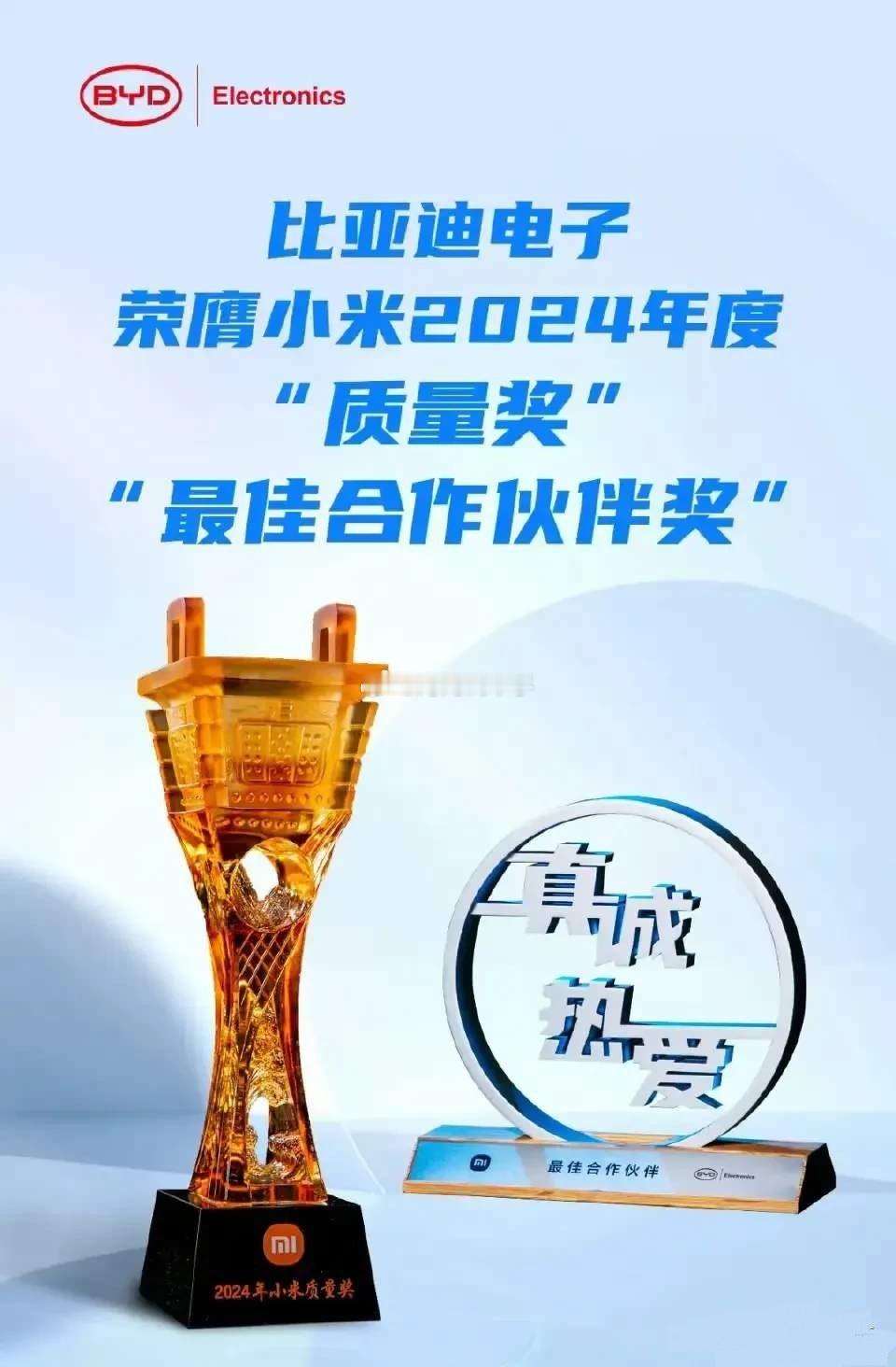 比亚迪和小米？？？这个奖项是啥意思？？？ 